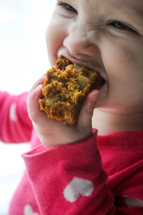 Apple Pumpkin Snack Cake