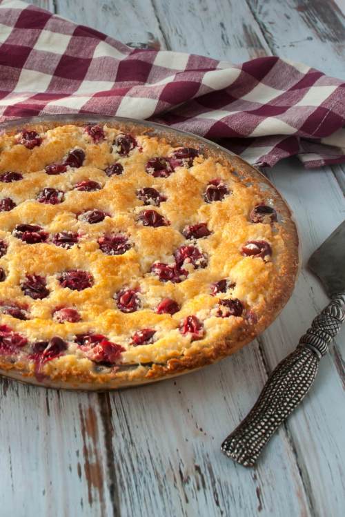Cranberry Coconut Blender Pie drizzled with white chocolate. A super easy and impressive holiday dessert.