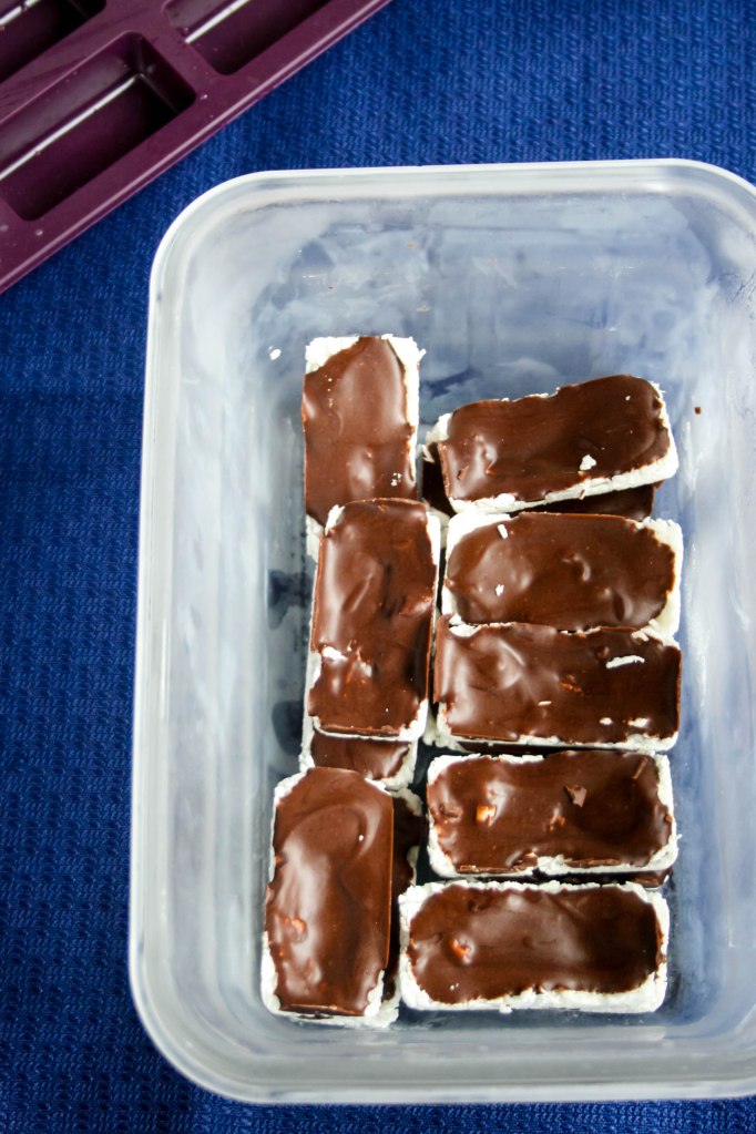 Chocolate Peanut Butter Coconut Freezer Bars